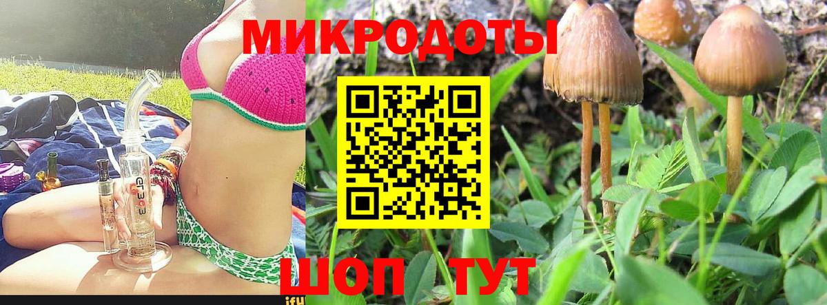 Гусев  Галлюциногенные грибы мухоморы  Псилоцибиновые грибы Psilocybe  Вход с VPN 
