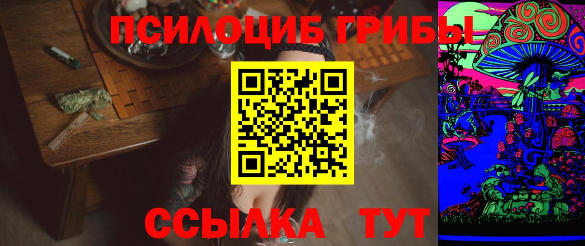 Псилоцибиновые грибы Psilocybine cubensis Гусев